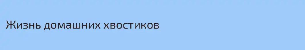 Жизнь домашних хвостиков 